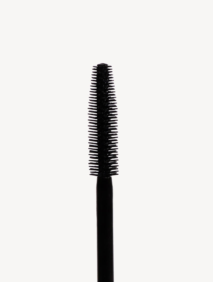 Perfect Mascara